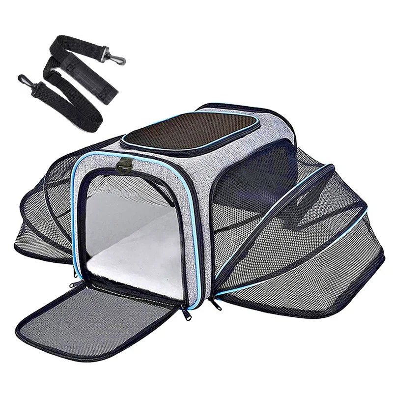 Draagbare, ademende, opvouwbar - Foldable Backpack Small recensie en prijs