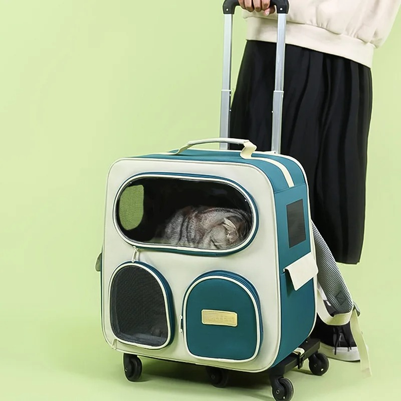 Draagbare 11,5 kg katten draag - Foldable Backpack Small recensie en prijs